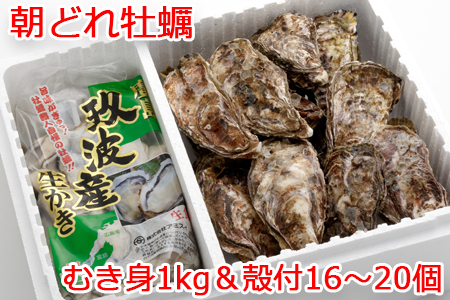 [2027年1月8日より発送！]オレの牡蠣 広島県大竹市産 生牡蠣 むき身1kg＆殻付 (16個から20個) 牡蠣 Bセット｜朝どれ 生食用 かき カキ 大粒 生牡蠣 生かき 生がき 生カキ 生ガキ 殻付き むき身 剥き身 むきかき 殻むき不要 便利 人気 おすすめ 貝 シーフード オイスター 海産物 海鮮 魚介類 海の幸 海のミルク [1883]