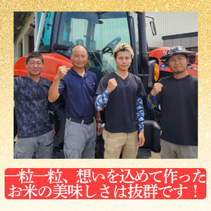 先行予約/令和7年産/上越市産/コシヒカリ/10kg/新米/精米/新潟/米/新潟県/こしひかり/限定/おすすめ