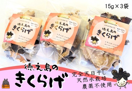 《12月から配送》天然水使用・完全天日干し徳之島産きくらげ（3袋）( きのこ 健康 国産 安心 安全 和食 中華料理 こりこり 料理 天然水 中華丼 汁物 具材 朝食 昼食 夕食 )
