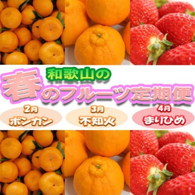 【発送月固定定期便】和歌山の春のフルーツ(ポンカン・不知火・まりひめ)全3回【配送不可地域：離島・北海道・沖縄】【4084020】