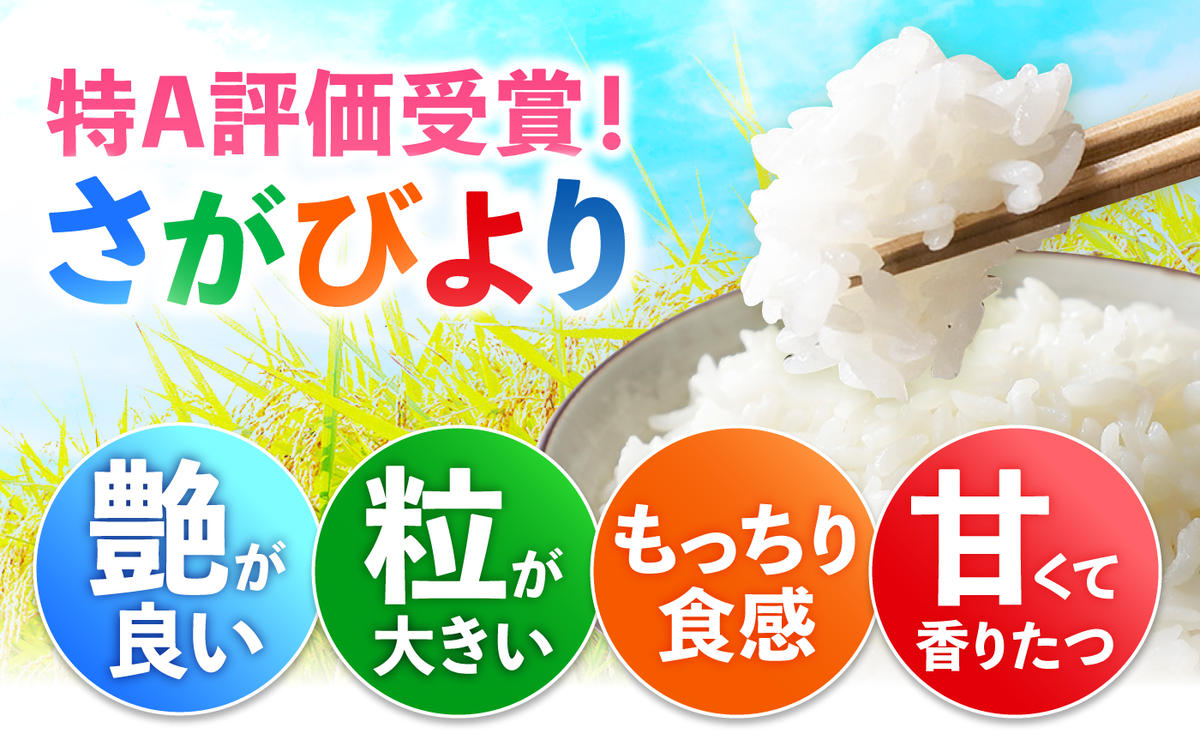 【令和7年産】特A獲得！さがびより 無洗米 3kg 吉野ヶ里町/大塚米穀店 [FCW025]