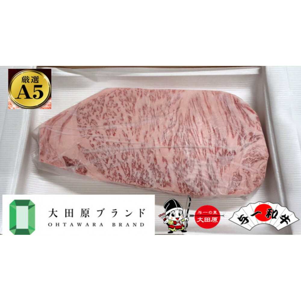 【ふるさと納税】大田原市公式「大田原ブランド」認定第1号「与一和牛」特選サーロインステーキ400g