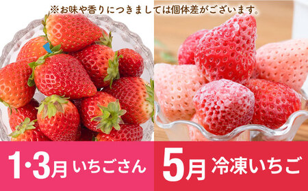 【R8年1月以降発送】【全6回定期便】いちご2種と佐賀牛のセット/いちご 牛肉 [IZZ025]