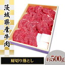 【ふるさと納税】065茨城県産牛肉 肩切り落とし約500g