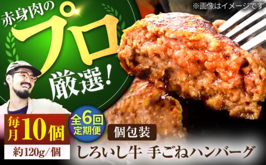 【牧場直送】【6回定期便】佐賀県産しろいし牛 ボリュームたっぷり 手ごね ハンバーグ 120g×10個【佐賀セントラル牧場】佐賀県産 ハンバーグ 牛肉 冷凍 はんばーぐ 牛肉 お惣菜 おかず 和牛 国産 ハンバーグ 九州 佐賀県 白石町 [IAH058]