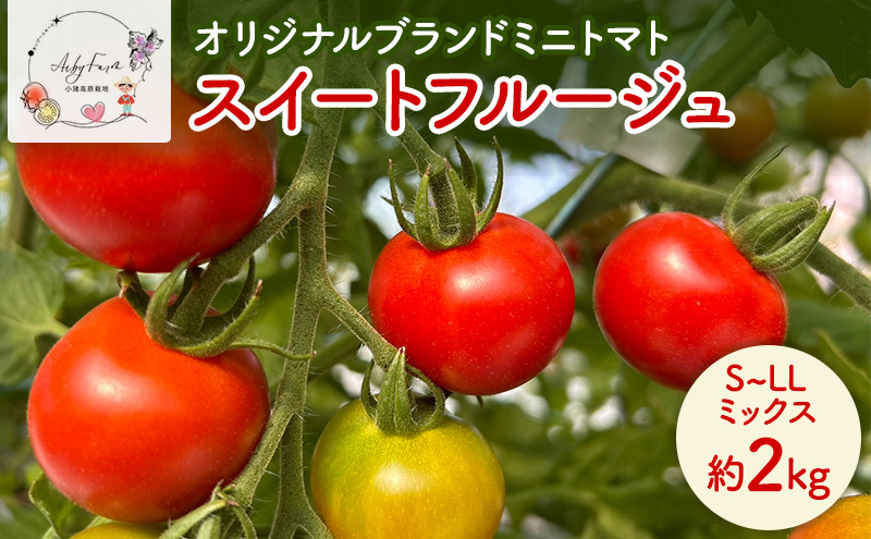 スイートフルージュ 約2kg アイビーファーム ミニトマト 長野 信州 小諸 産地直送