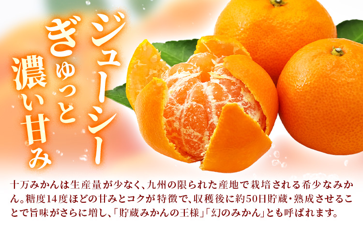 鹿児島県産 新生十万みかん 約10kg 祝迫果樹園《1月中旬-2月中旬頃出荷》鹿児島県 さつま町 みかん 十万みかん 蜜柑 柑橘 果物 くだもの フルーツ ジューシー