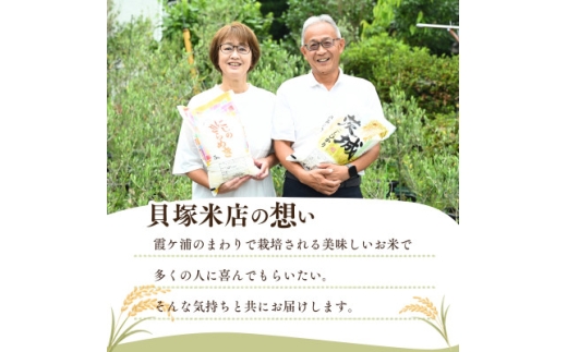 令和8年産 新米 田伏米のコシヒカリ 精米 10kg(1袋) | こしひかり お米 かすみがうら市【1778893】