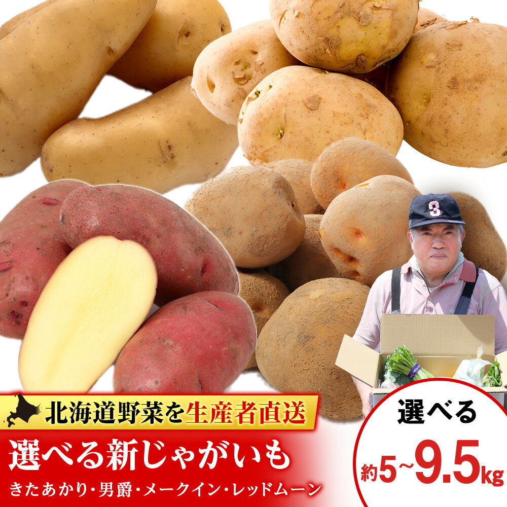 【ふるさと納税】選べる新じゃがいも 選べる5kg・9.5kg《 土居ファーム 》 やさい いも 芋 きたあかり 男爵 レッドムーン メークイン じゃがいも 野菜 千歳 北海道【北海道千歳市】ギフト ふるさと納税
