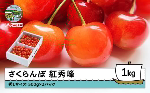 さくらんぼ 紅秀峰 秀Lサイズ 1㎏ バラ詰め 化粧箱 (500g×2) 2026年産 令和8年産 山形県産 ふるさと納税 果物 くだもの フルーツ 期間限定 冷蔵配送 先行受付 グルメ 取り寄せ ご当地 特産 産地 直送 送料無料 東北 山形県 人気山形県産 ns-bsslb1