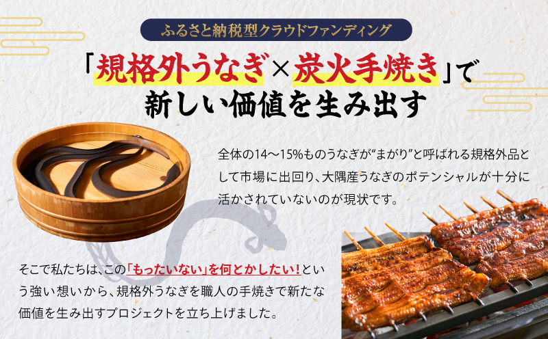 【全12回定期便】鰻の蒲焼 3尾（130g〜180g×3）　KN026-T07【株式会社オキス】