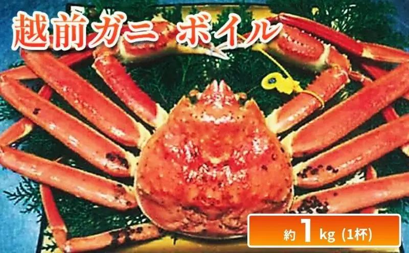 越前ガニ ボイル 約1kg ズワイガニ かに 越前ガニ