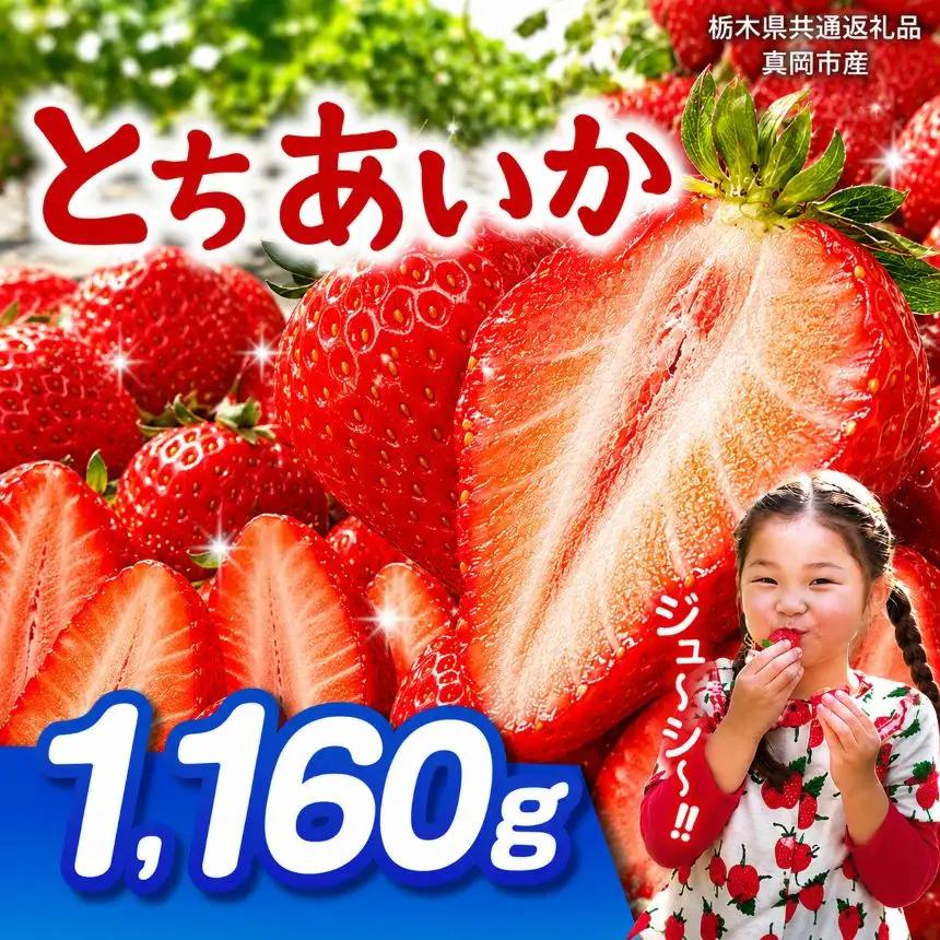 【栃木県共通返礼品】【先行予約】とちあいか 1160g | 栃木県 那珂川町