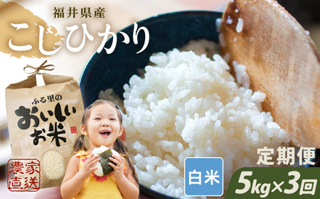 【先行予約】【令和8年産・新米】【農家直送定期便 3ヶ月コース】本原農園のまごころコメたコシヒカリ 5kg × 3回 計15kg（白米）【2026年10月上旬以降順次発送】 [C-8916_01]