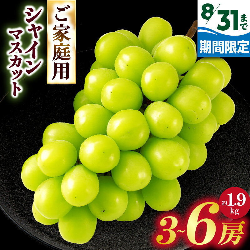 【ふるさと納税】【8月31日（夏休み）までの期間限定価格!!】ご家庭用 シャインマスカット　約1.9kg | シャインマスカット マスカット ぶどう ブドウ 果物 フルーツ 期間限定 くだもの 国産 ギフト 旬人気 種なし 先行予約 おすすめ 香川 香川県 三木町 訳あり ご家庭用