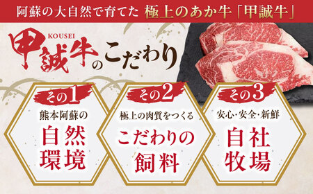 【数量限定】【GI認証】くまもとあか牛シャトーブリアン 約120g×3枚 和牛 熊本県 【有限会社 三協畜産】[AYCQ015]