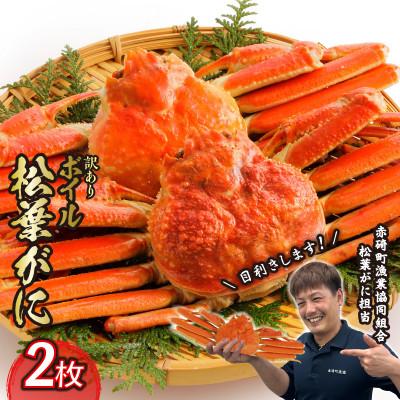ふるさと納税 琴浦町 『鳥取の冬の味覚』【訳あり】ボイル　松葉がに　2枚(2025年1月下旬〜3月上旬発送分) | 