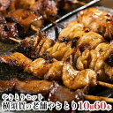 【ふるさと納税】焼き鳥 炭火やきとりにのみや 60本 セット 特製炭火やきとり 10種類 焼鳥 やきとり　【 炭火 鶏肉 豚肉 冷凍 】