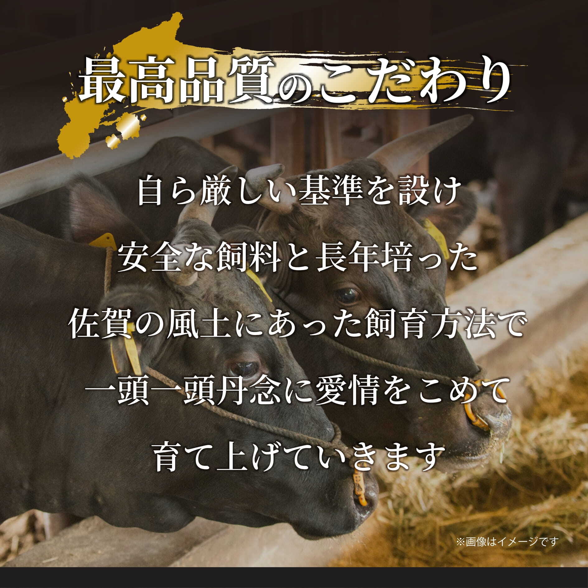 佐賀産和牛 訳あり 切り落とし 1.2kg(600g×2p) 159-J1699