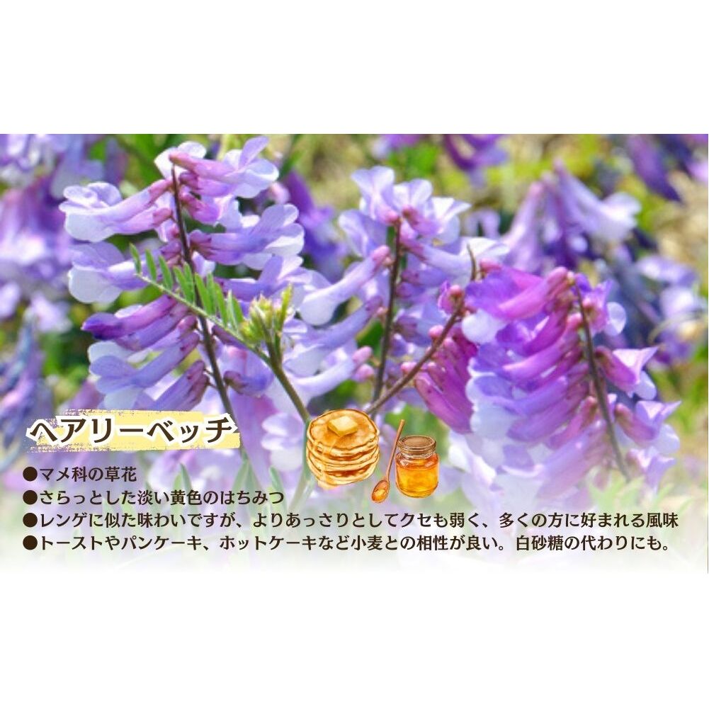 【定期便3回】むろうはちみつ 奈良産 純粋はちみつ へアリーベッチ (600g×3回)／ 66832 室生 国産 蜂蜜 ハニー ギフト お取り寄せ ふくさきわう 奈良県 宇陀市 ふるさと納税_イメージ