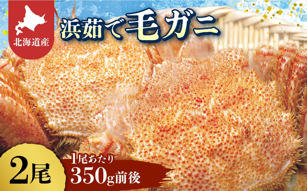 
                  北海道産　浜茹で毛ガニ　350g前後×2尾_毛ガニ 毛蟹 カニ 蟹 北海道 2尾 セット 冷凍 ゆでがに 人気 おすすめ 送料無料 贈答 ギフト オホーツク 活ガニ 急速冷凍
                