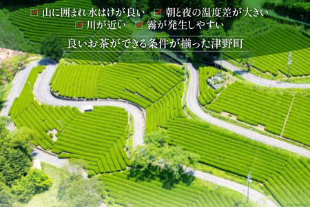緑茶 銘茶の里 四万十川源流茶〈上級煎茶〉100g入り 3個