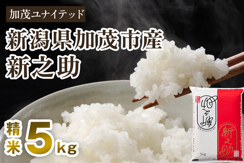 
                  【令和8年産新米先行予約】新潟県産 新之助 精米 5kg（5kg×1袋）《10月上旬から順次出荷》 新潟県産新之助 新潟産新之助 加茂市産新之助 新之助 しんのすけ 新潟 ブランド米 新之助  東京・南青山の料亭で使用される極上米 加茂市 加茂ユナイテッド
                