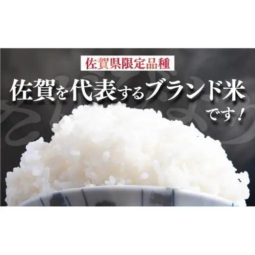 [令和7年産] ＜定期便3回＞  さがびより 無洗米 5kg×3回
