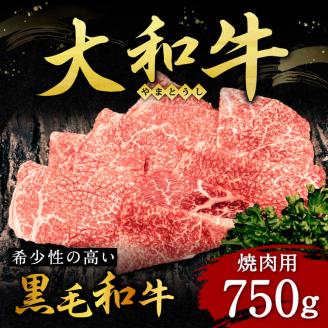 H-112 大和牛焼肉 750g 肉の河内屋