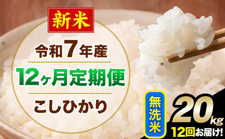 【12ヶ月定期便】新米 令和7年産 定期便 こしひかり 無洗米 定期便 20kg 精米 熊本県産(南阿蘇村産含む) 単一原料米 南阿蘇村《1月から出荷開始》---kh7tei_630000_20kg_jan12_mna_m---