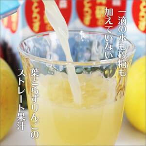 葉とらずりんごジュース　1000g×12本入り【1657569】