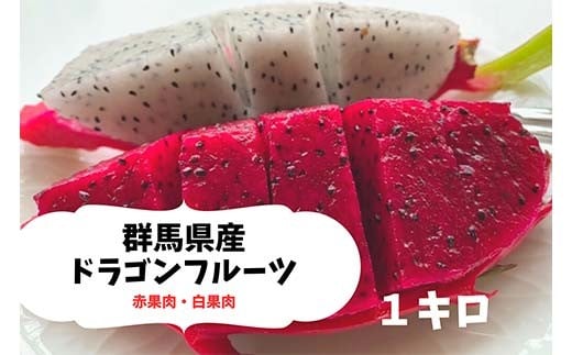 
            ＜2025年7月下旬より順次発送＞ ドラゴンフルーツ (1kg) くだもの 果物 フルーツ 食品 F20E-514
          