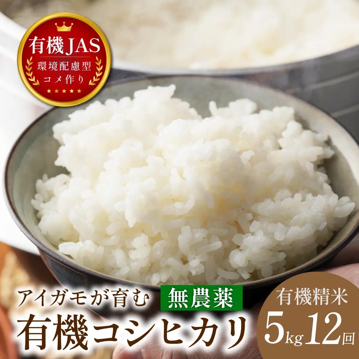 コシヒカリ〈8年産予約〉コシヒカリ〈定期便〉有機米 無農薬 コシヒカリ 精米 ( 5kg×12回 計30kg ） 有機米