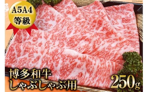 
【数量限定】博多和牛 ロース しゃぶしゃぶ用 250g / 筑前屋 / 福岡県 筑紫野市 [21760385] 肉 牛肉 和牛 牛 ビーフ 国産牛 ブランド牛 焼肉 冷凍
