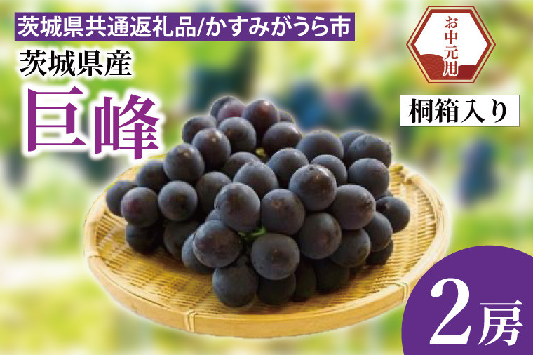 
            【先行予約】【お中元】巨峰 桐箱入り 2房（茨城県共通返礼品：かすみがうら市）（CD182）
          