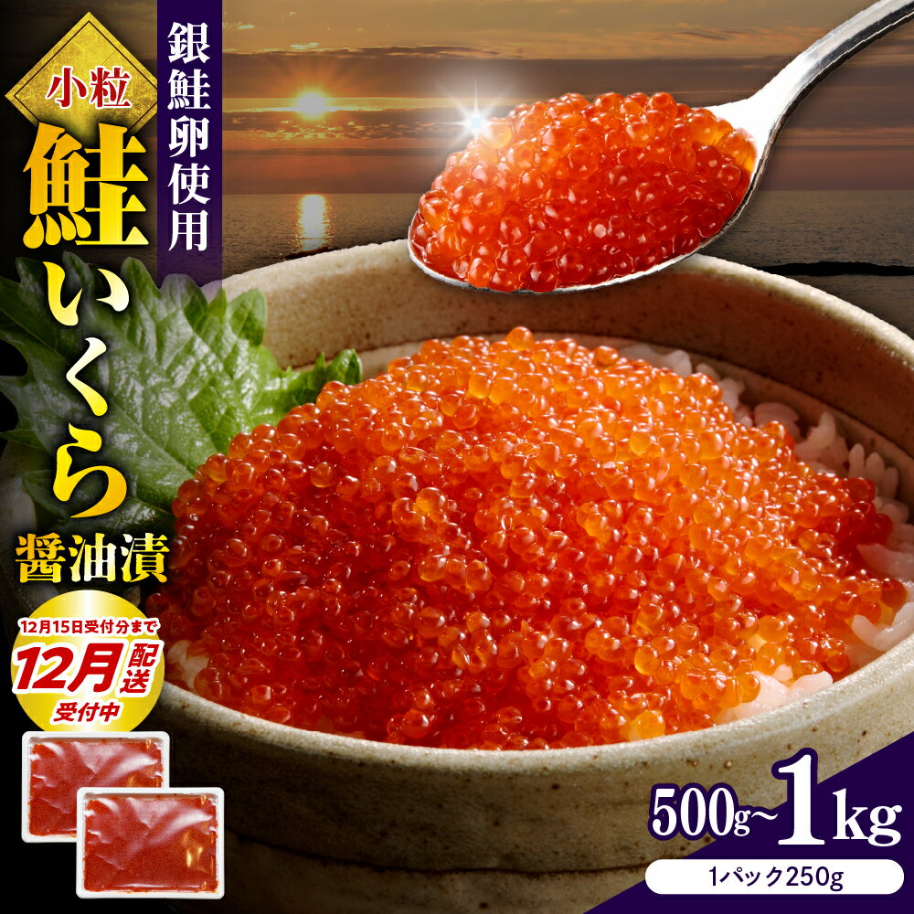 【ふるさと納税】 【年内配送 受付中！】鮭いくら 醤油漬け 小分け 【 内容量が選べる 】( 250g × 2箱 / 4箱 ) | 500g 1kg いくら 大容量 ikura 冷凍 鮭卵 魚卵 いくら丼 旬 魚介 海鮮 海の幸 海産物 レビューキャンペーン 家庭用 訳あり お取り寄せ 送料無料 えりも町