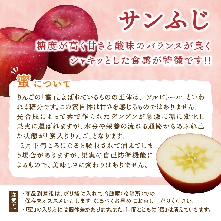 奥州市産りんご 赤い誘惑「サンふじ&シナノゴールド」約2.5kg 8-10玉 [AQ083]