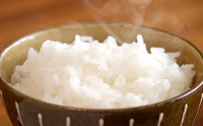 11月発送開始【令和7年度産】美少女イラスト 粒がひと回り大きい あきたこまち10kg（5kg×2袋）単一原料米【 米 お米 白米 精米 粒が大きい ふっくら 甘み 新米 先行予約 高品質米 ブランド