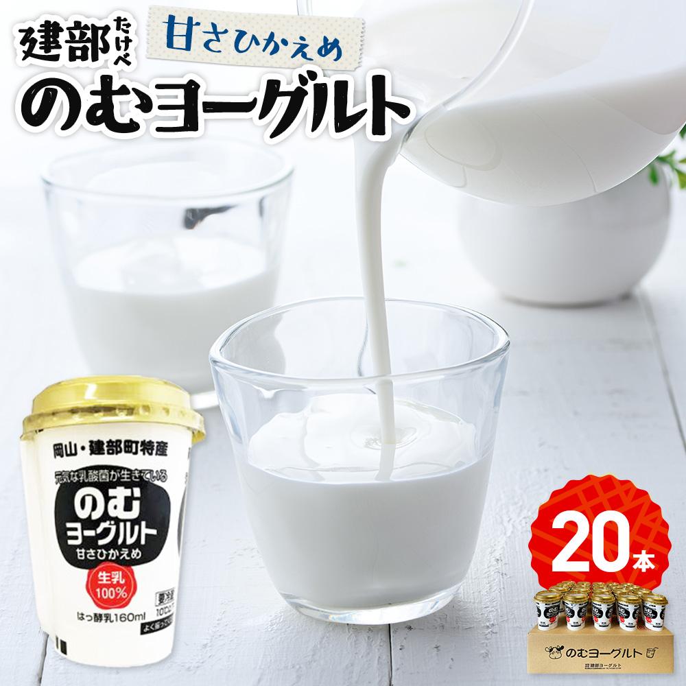 【ふるさと納税】建部のむヨーグルト（甘さ控えめ）20本 | お菓子 菓子 おかし デザート 食品 人気 おすすめ 送料無料