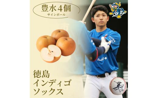 【豊水4玉 サインボール】 先行予約 徳島 インディゴソックス コラボ 梨 グッズ セット《 2025年9月上旬～順次発送 》 果物 フルーツ 野球 四国アイランドリーグ 阿波市