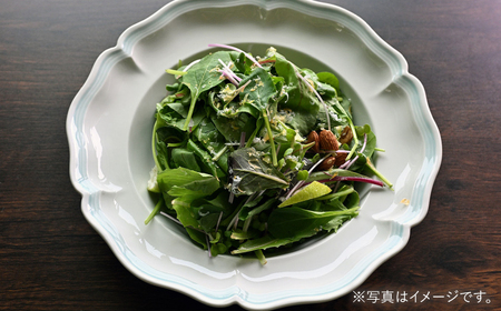 【波佐見焼】ombre de fleur ボウルL melodie green 4枚セット【翔芳窯】[FE550]