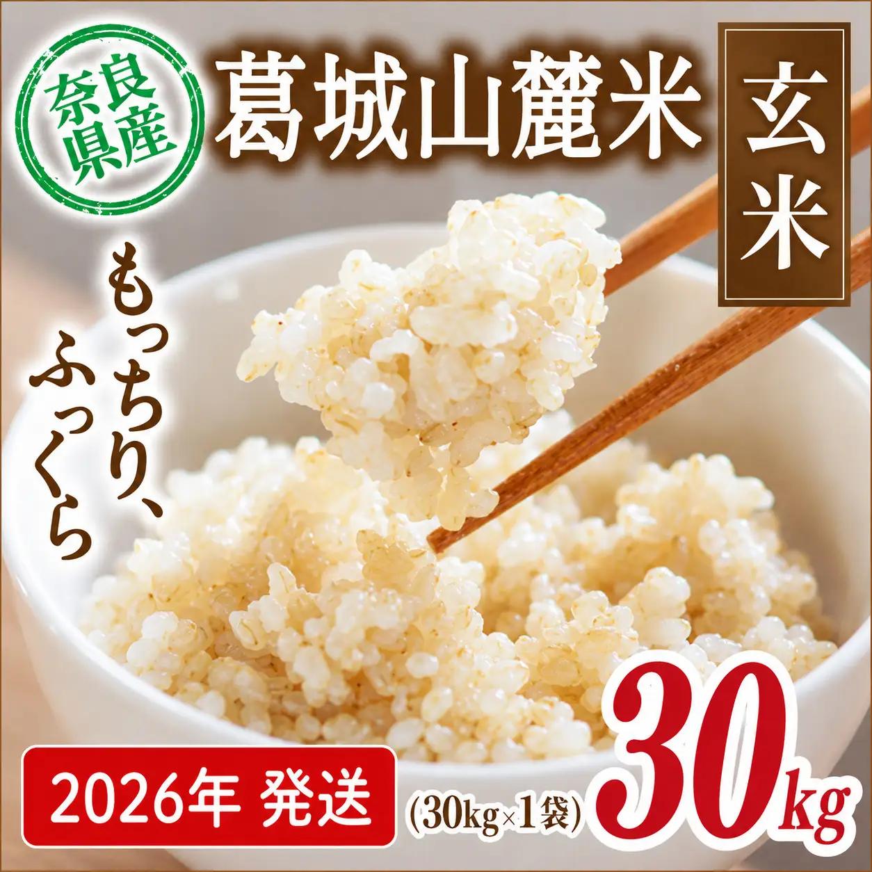 玄米 先行予約 葛城山麓米 ヒノヒカリ（玄米）計30kg [ 30kg×1袋 ] 令和8年産 【2026年10月下旬～順次発送】 葛城市【smlk027】