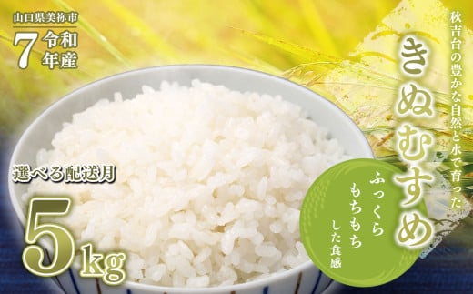 令和7年度産 新米 きぬむすめ 白米 5kg 先行予約 ＜ 2025年11月～より順次発送予定 ＞ ｜ 精米 新米 白米 米 お米 コメ 単一米 きぬむすめ 山口 美祢 秋吉台 5kg