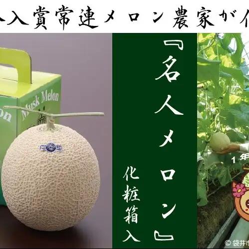 ★発送月選択できる返礼品★ 『クラウンメロン”名人メロン”1玉』 ギフト箱入り メロン 人気 厳選 ギフト 贈り物 デザート グルメ 袋井市 2026年8月発送