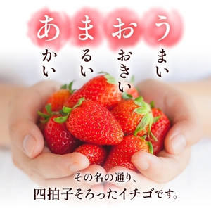 【先行予約】 いちご 福岡県産 あまおう 1000g (250g×4パック)  果物 いちご
