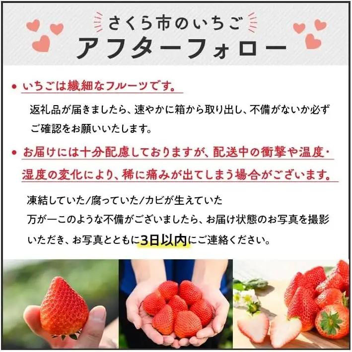 【先行予約】【数量限定】とちあいか 290g×4パック ｜ ※2026年11月～発送
