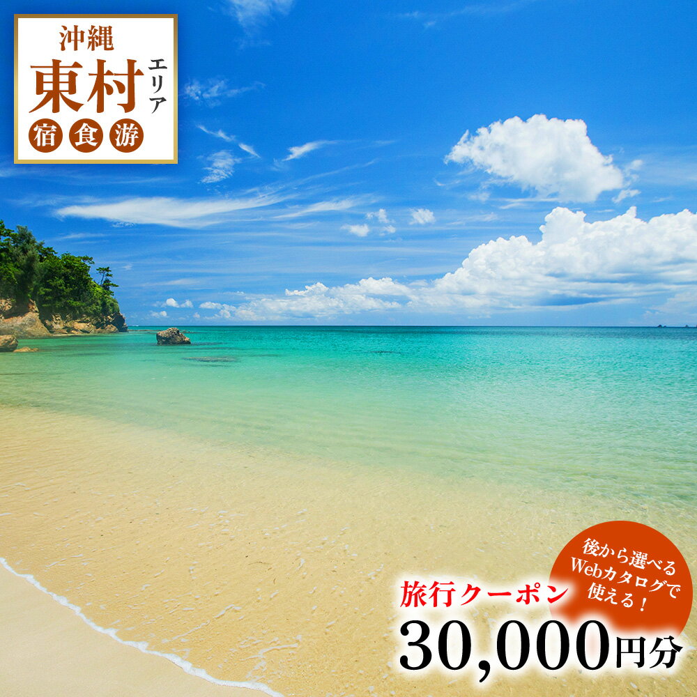 【ふるさと納税】【旅行クーポン】沖縄やんばる東村 後から選べる旅行Webカタログ3万円分 沖縄 観光 旅行 やんばる 北部 グルメ ファミリー カップル アクティビティ 体験 トレッキング マングローブ カヌー マリンスポーツ ダイビング