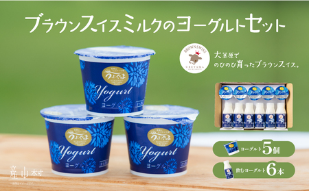 【阿蘇ブラウンスイス】飲む＆食べるヨーグルトセット乳製品2種11セット【02】