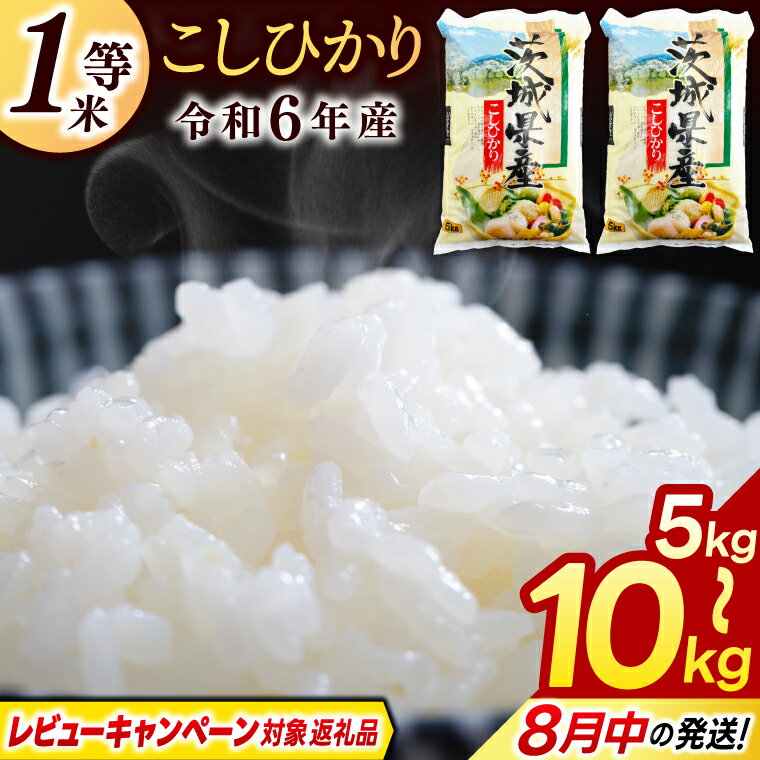 【ふるさと納税】＼レビューキャンペーン対象 在庫わずか／★1等米★ コシヒカリ お米 5kg 10kg 選べる 容量【令和6年産】米 精米 白米 こしひかり 5キロ 10キロ 茨城県 鹿嶋市 送料無料 ごはん おにぎり 冷めても 美味しい 人気 厳選 出荷直前 精米 うまい ふるさと納税