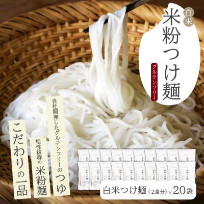 ふるさと納税 三原市 白米つけ麺(つゆ付き/2人前)20袋入り [092-011]